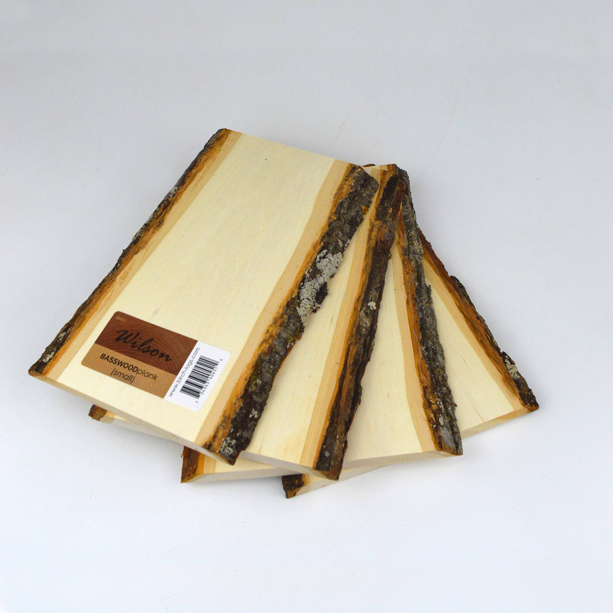 Wilson® Enterprises 20 Pack Small Basswood Plank